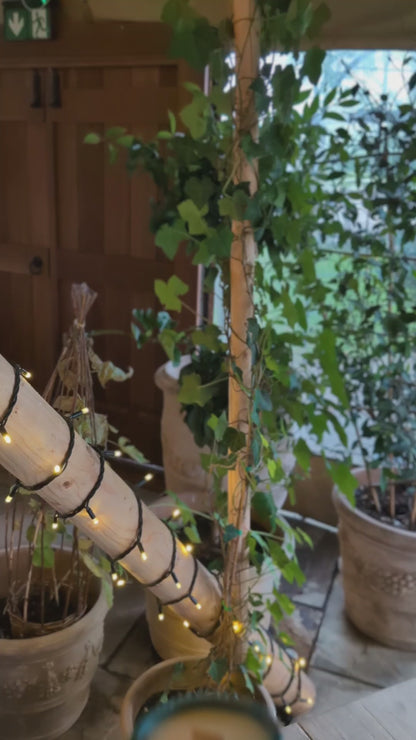 Festive Spice Candle 40 Hour Candle - Cinnamon, Clove & Orange