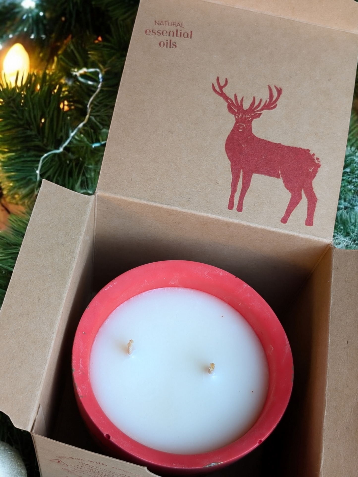 Mulled Cider Soy Refillable Candle - 50 Hour