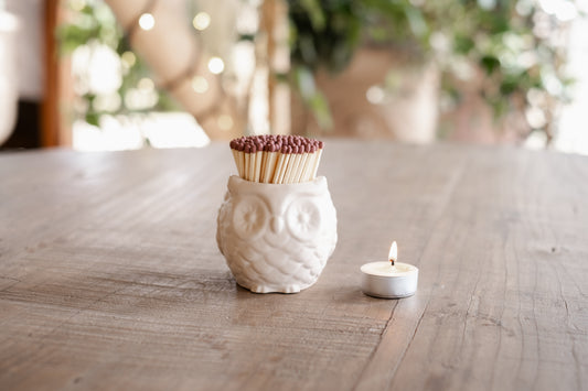 Bath Stone Owl Match Jar
