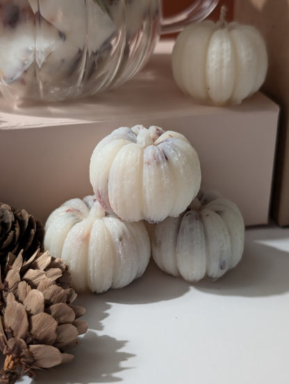 Box of 6 Pumpkin Soy Wax Melts