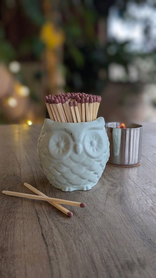 Sage Green Owl Match Jar