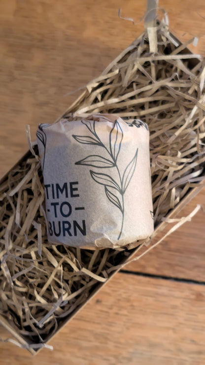 Mulled Cider Every Day Candle | 25 Hour | Star Anise, Orange and Grapefruit