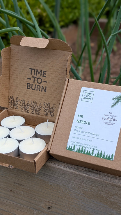 Fir Needle Tealights