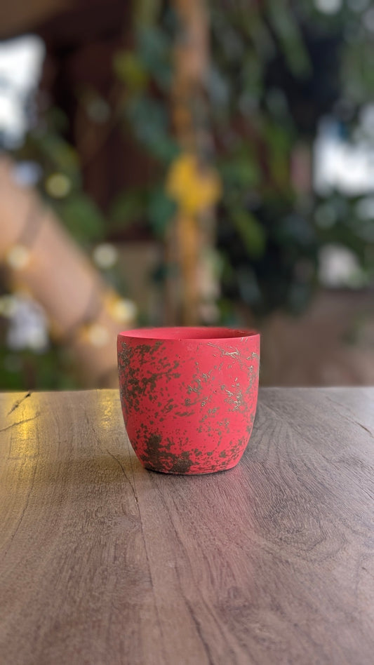 Refillable Mulled Cider Cotton Wick Amphora Candle - 40 Hour