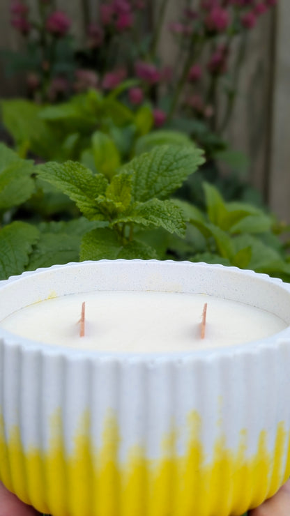 Citronella, Mint, Lemongrass & Lavender Candles