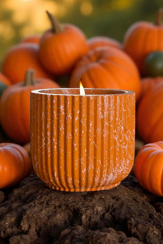 Pumpkin Spice  Candles | Cinnamon, Clove & Nutmeg