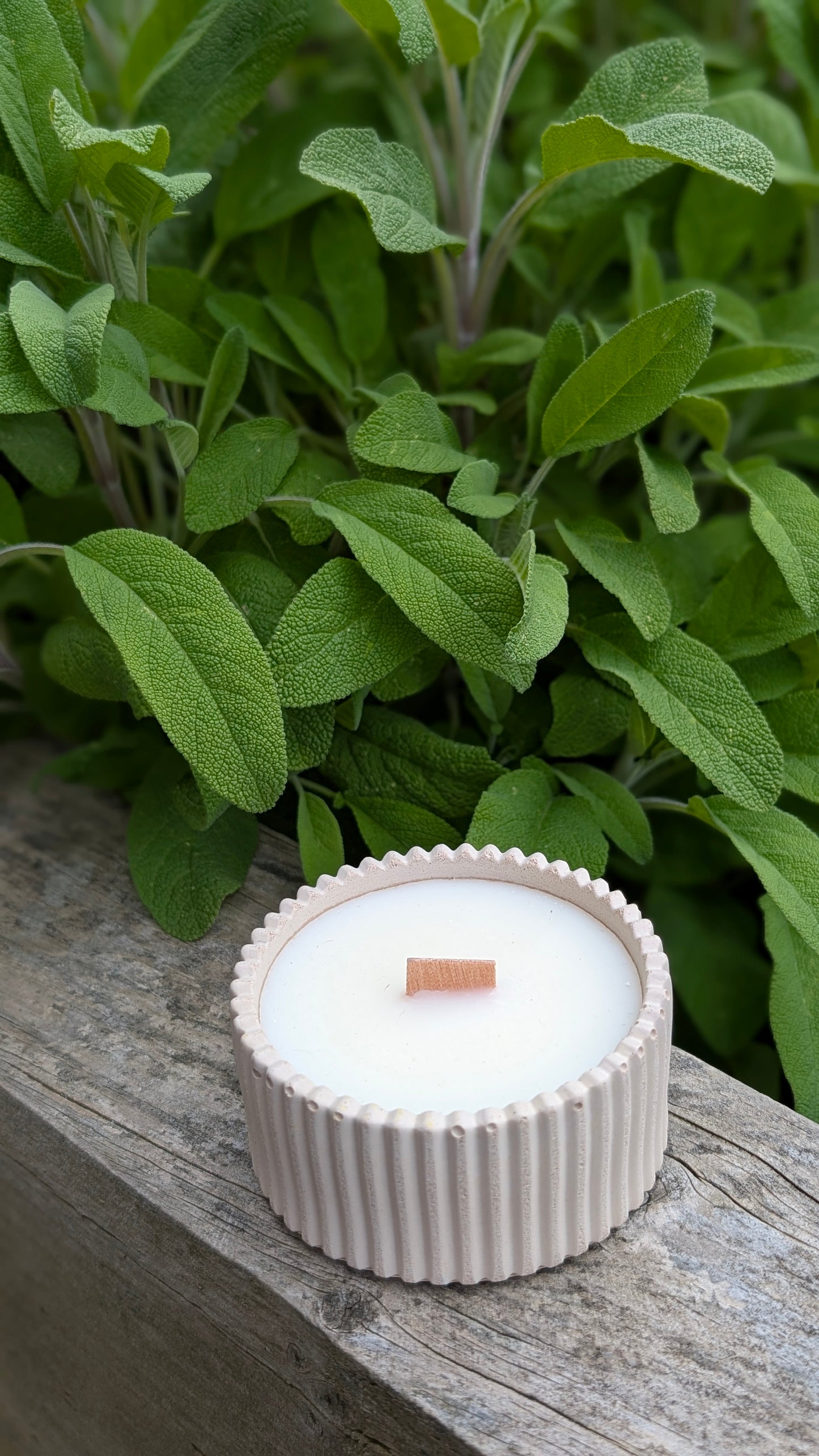 Sandalwood, Black Spruce and Sage Candles