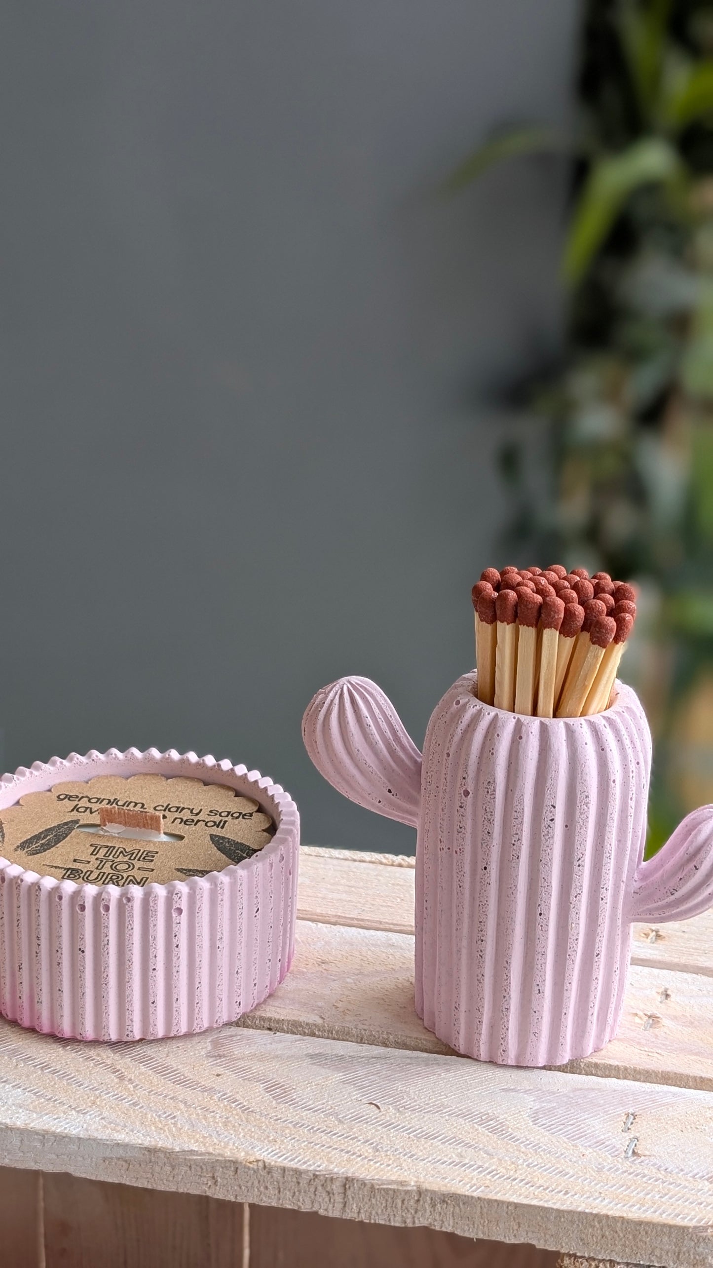 Baby Pink Cactus Match Jar