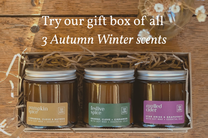 Mulled Cider Every Day Candle | 25 Hour | Star Anise, Orange and Grapefruit