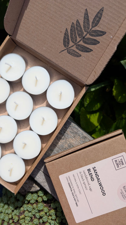 Sandalwood, Black Spruce & Sage Tealights