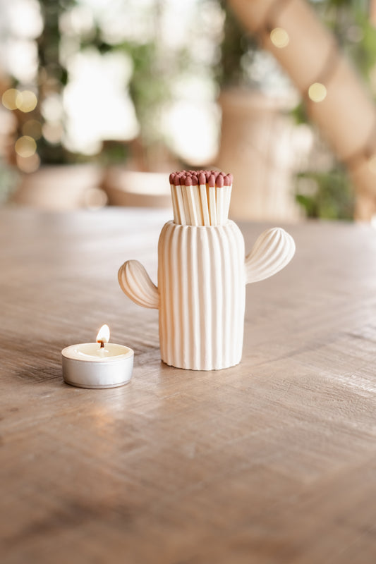 Stone Coloured Cactus Match Pot