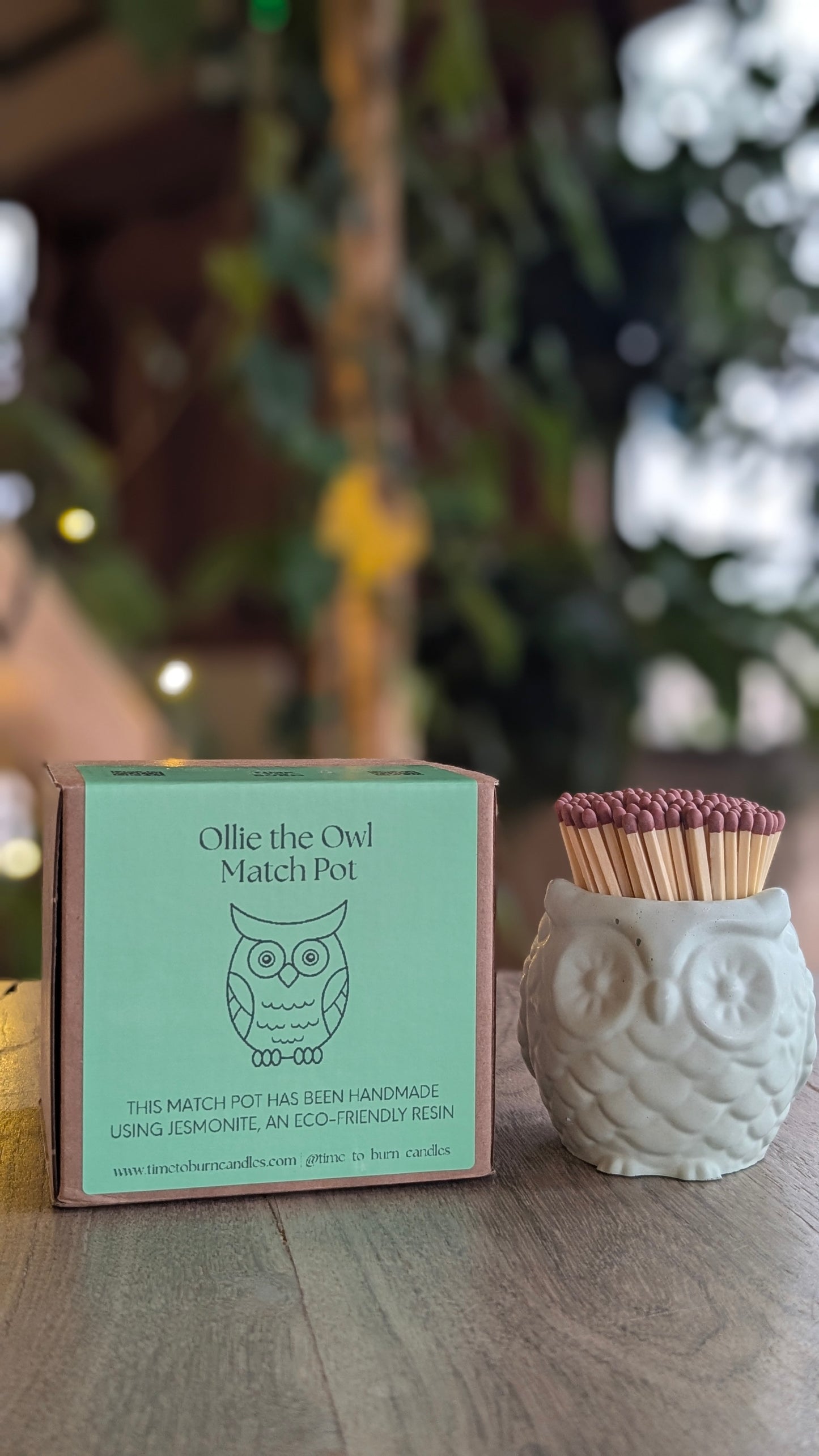 Sage Green Owl Match Jar