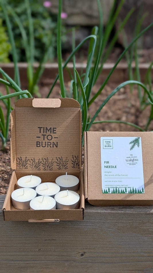 Fir Needle Tealights