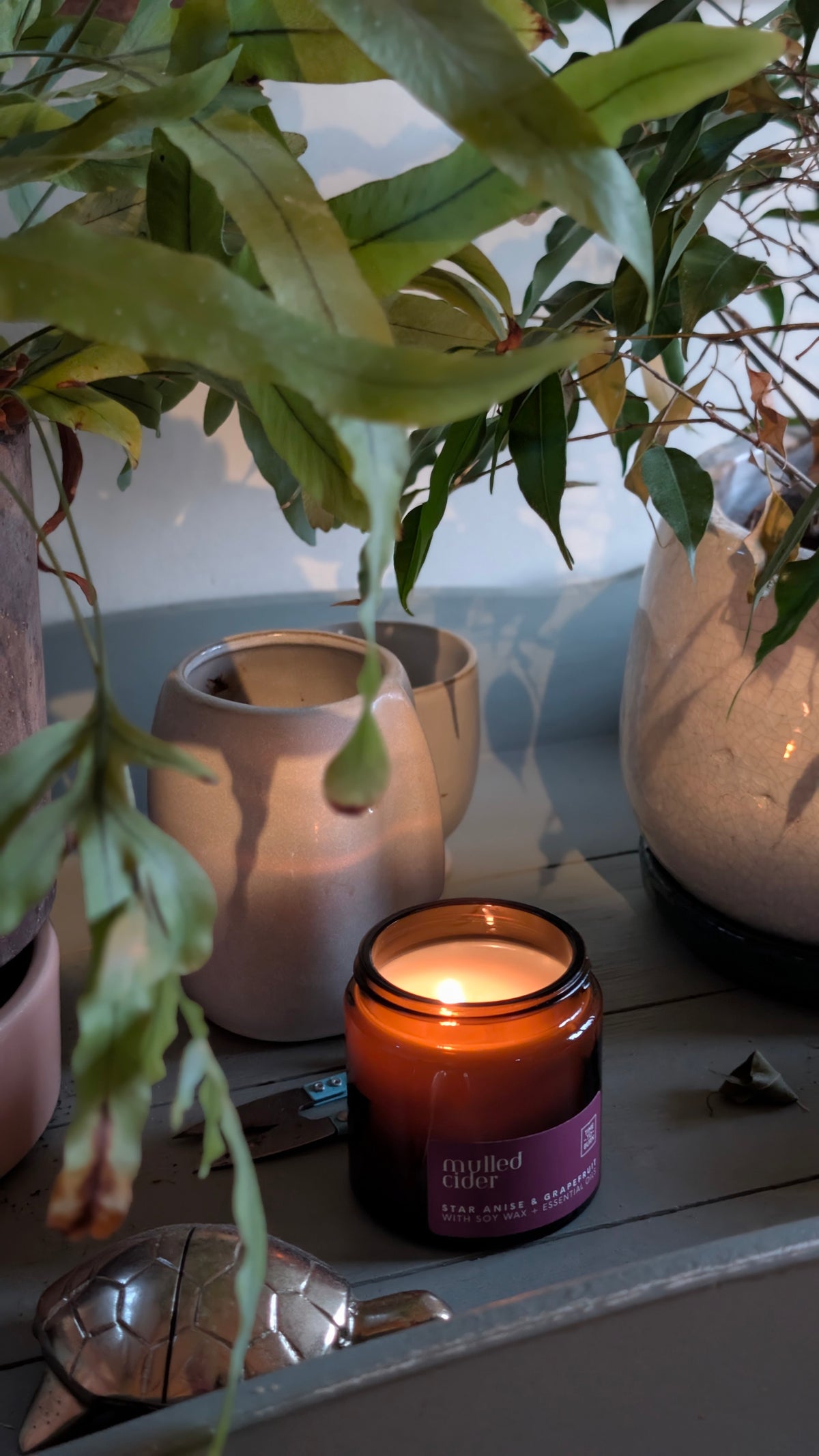 Mulled Cider Every Day Candle | 25 Hour | Star Anise, Orange and Grapefruit