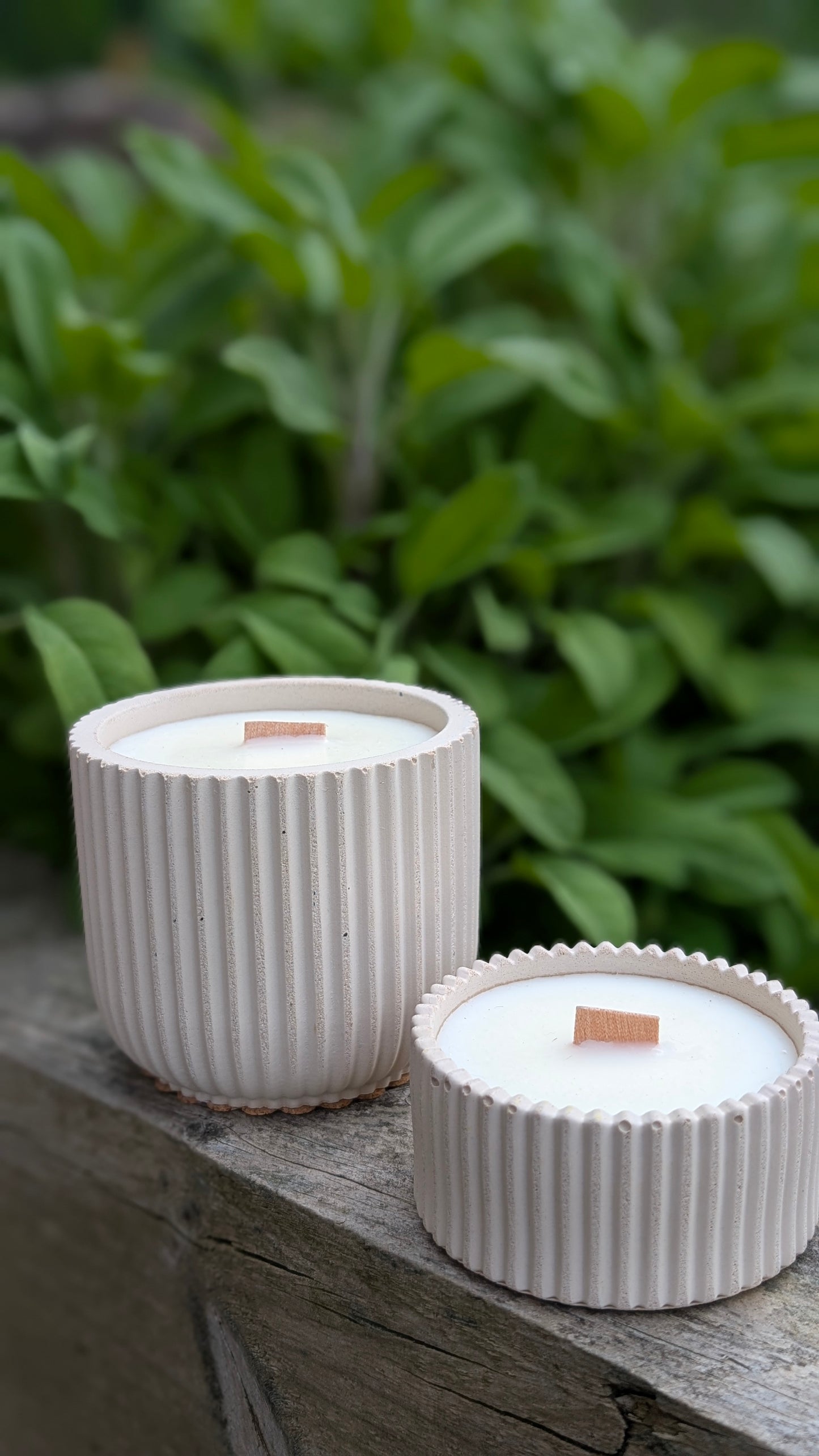 Sandalwood, Black Spruce and Sage Candles