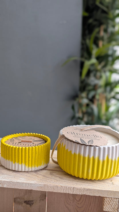Citronella, Mint, Lemongrass & Lavender Candles