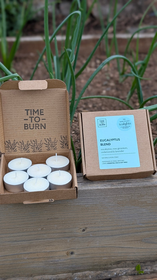 Eucalyptus, Rose Geranium, Cedarwood & Lavender Tealights