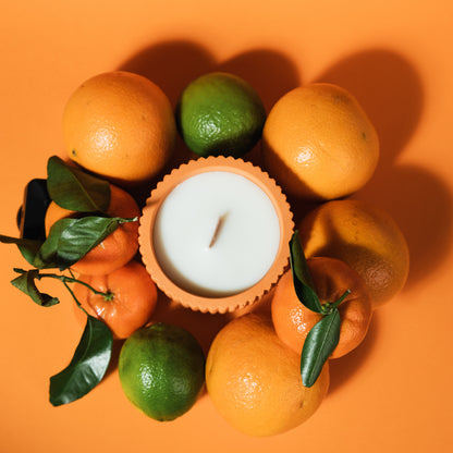 40 Hour Refillable Candle: Orange, Cypress, Sandalwood + Ylang Ylang - "Where the Sun Sets"