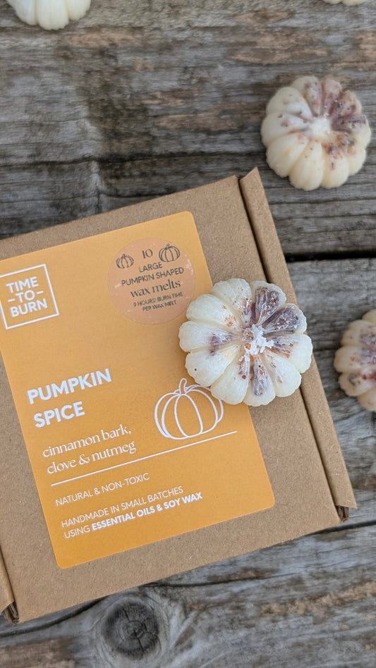 10 Pumpkin Spice Wax Melts
