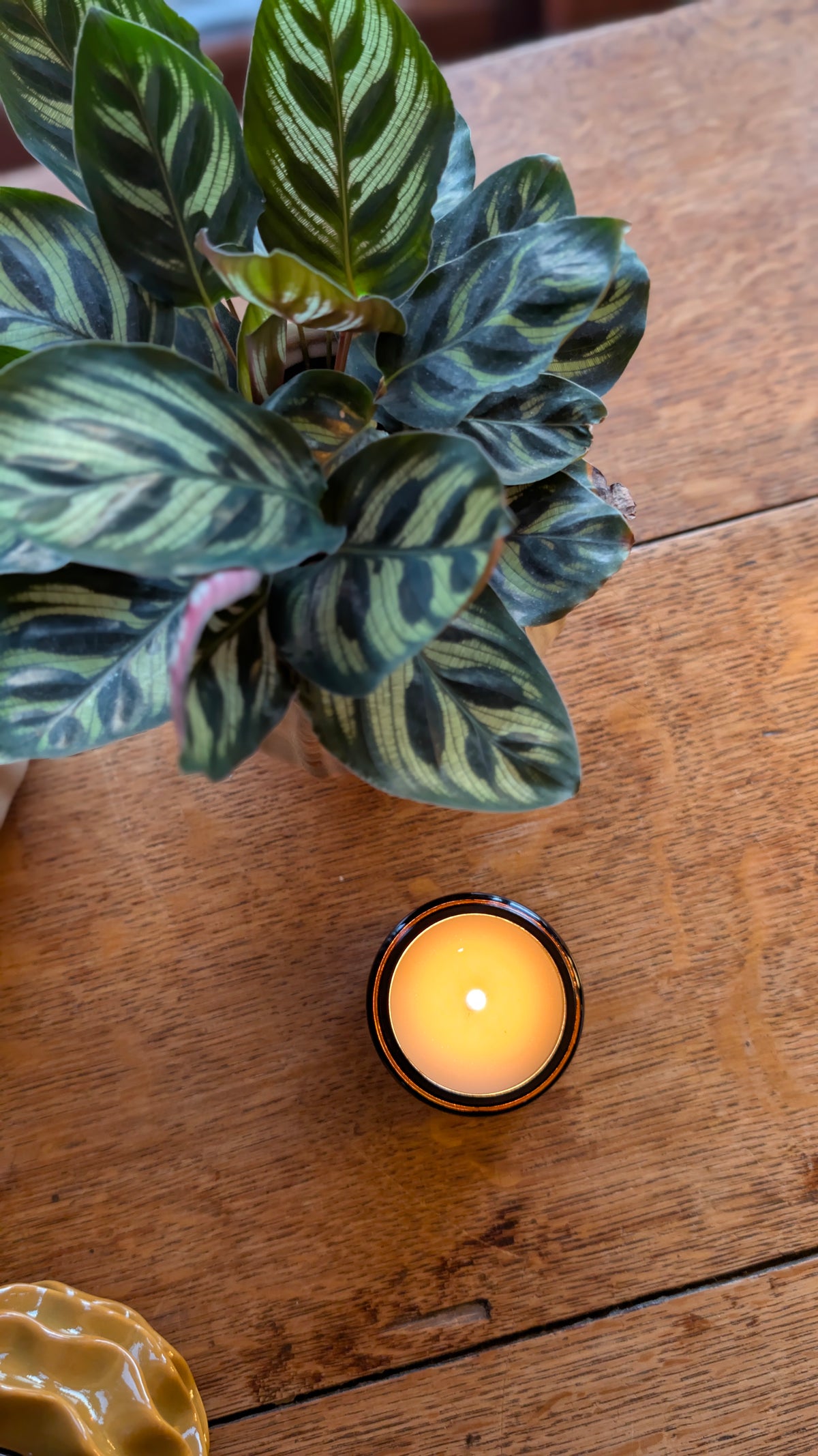120ml Amber or Clear Glass Candle Jar with Black Lid - WHITE LABEL CANDLES