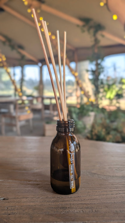 Reed Diffuser: Sandalwood, Black Spruce + Sage - "Under the Canopy"