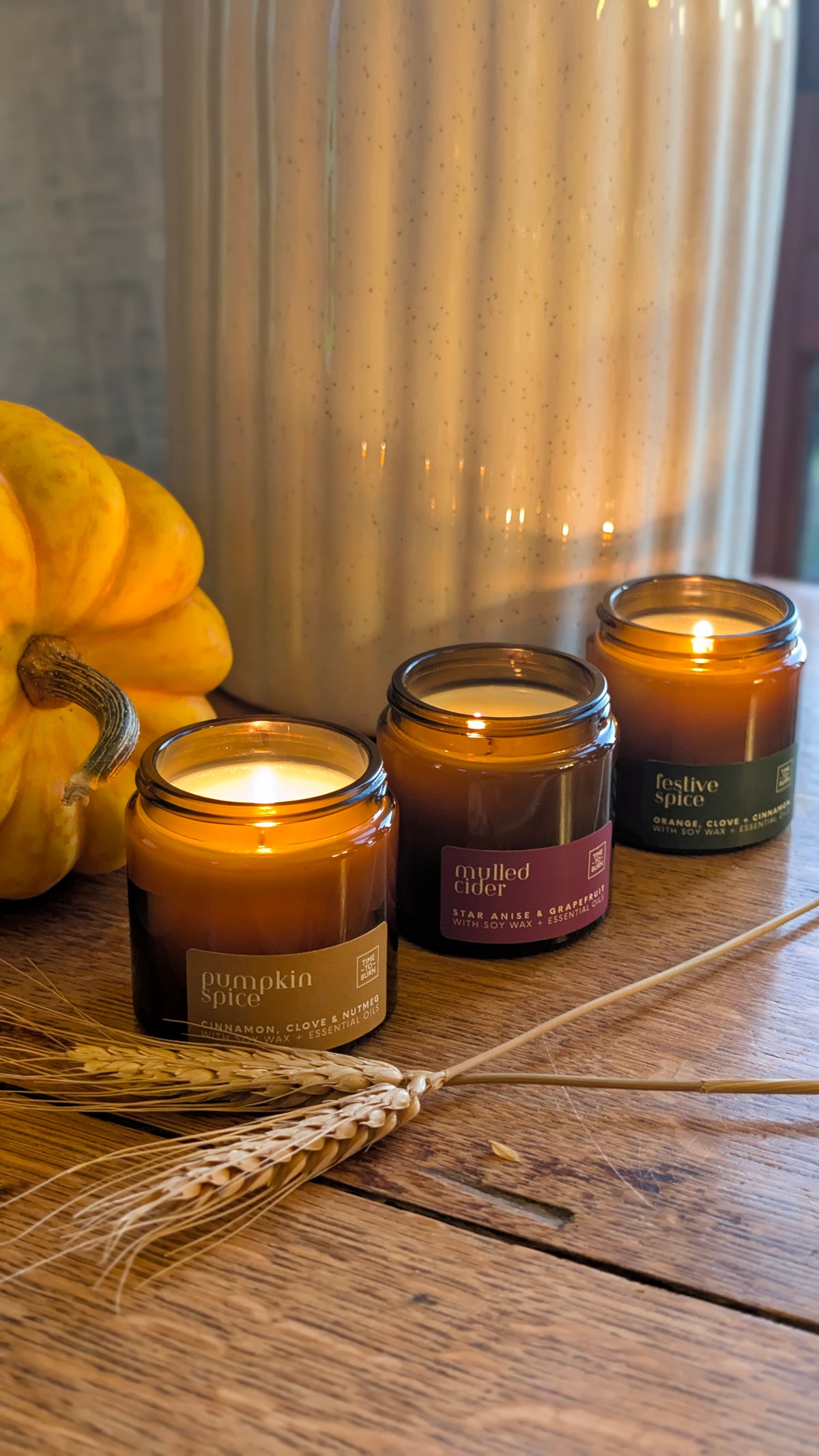 Mulled Cider Every Day Candle | 25 Hour | Star Anise, Orange and Grapefruit