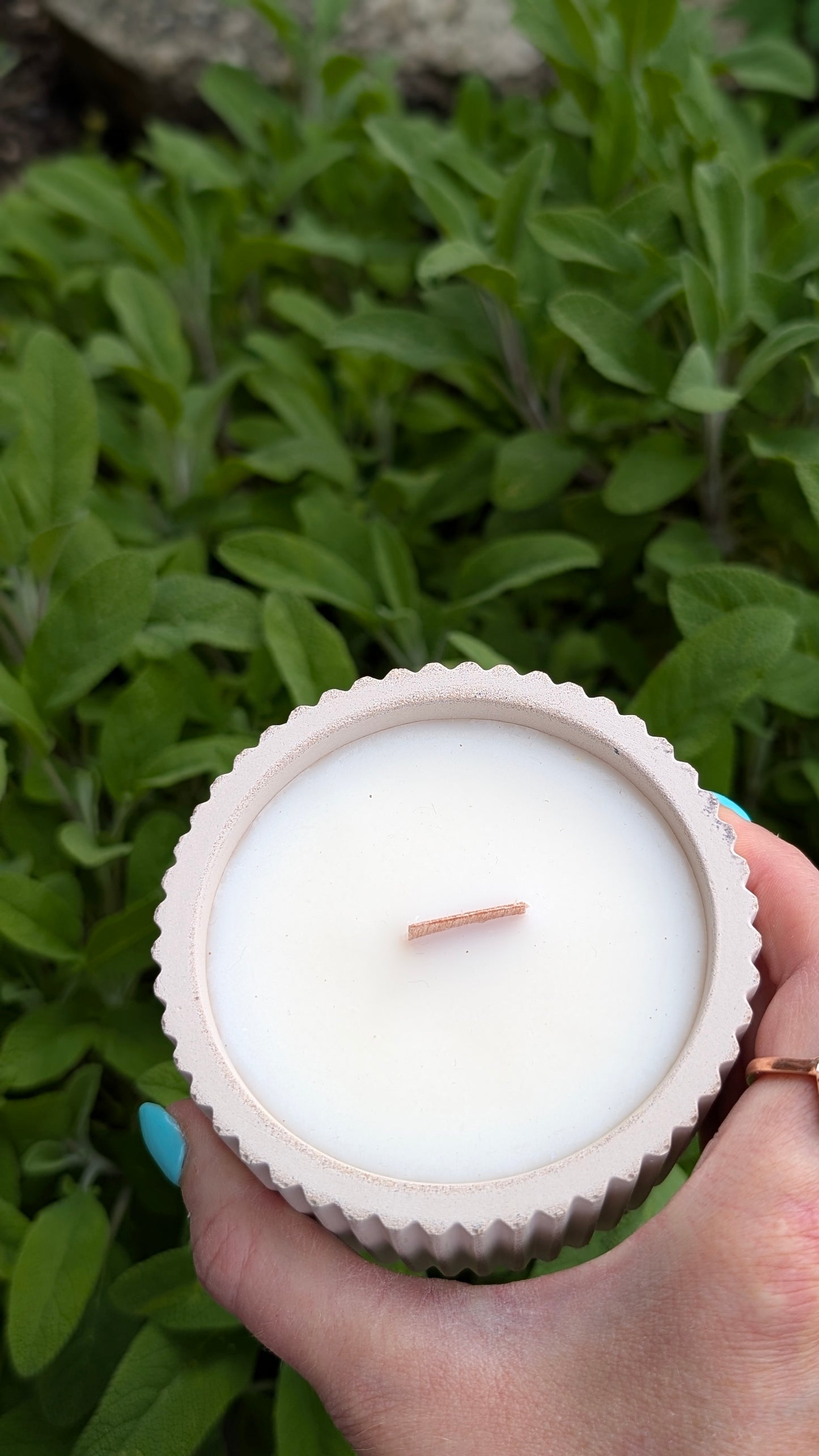 Sandalwood, Black Spruce and Sage Candles