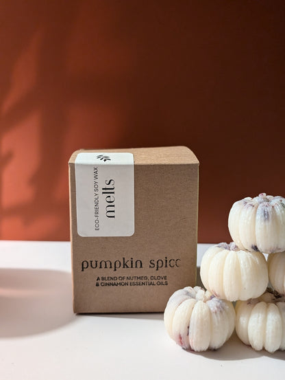 Box of 6 Pumpkin Soy Wax Melts