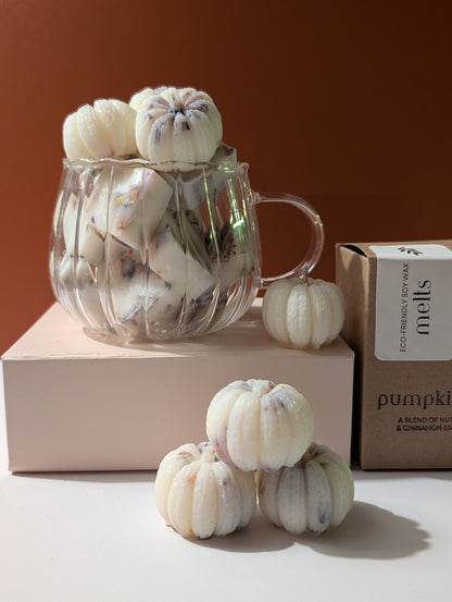 Box of 6 Pumpkin Soy Wax Melts