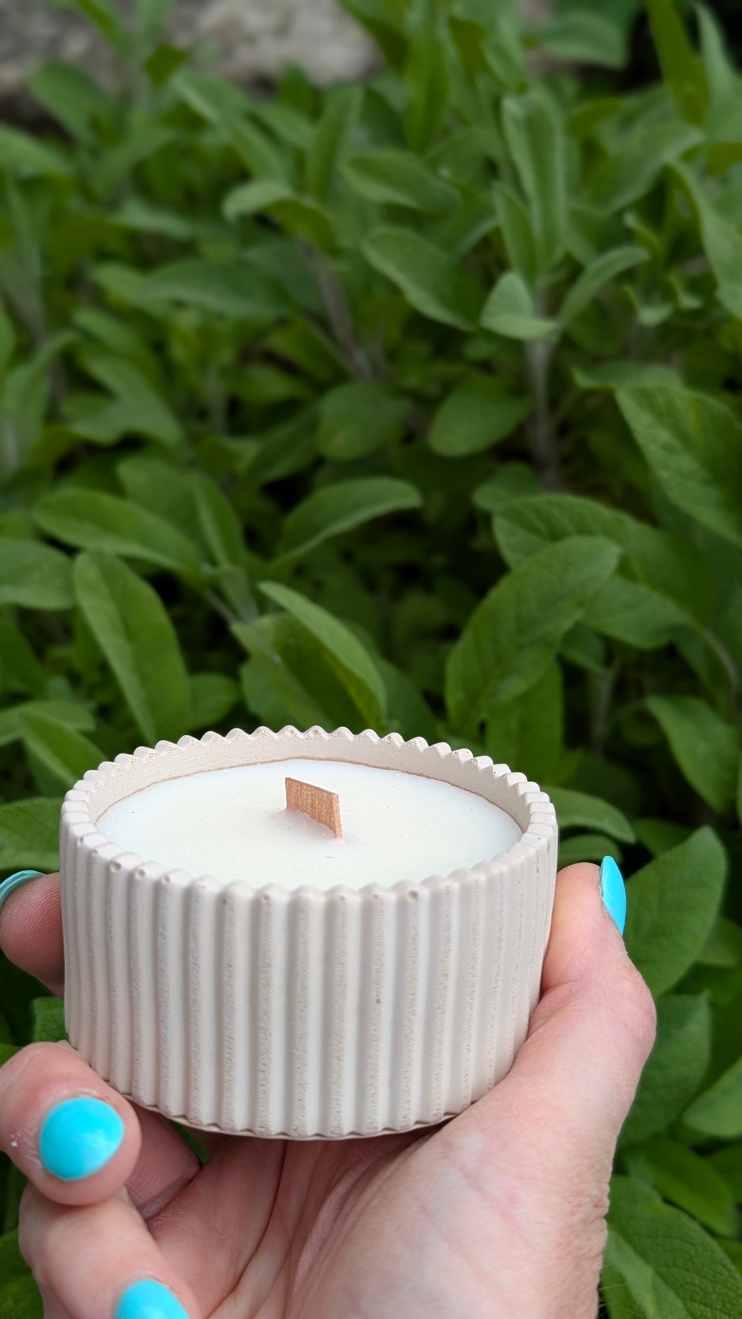 Sandalwood, Black Spruce and Sage Candles