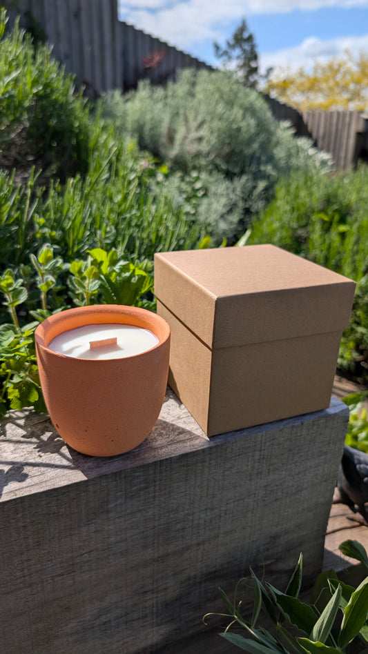 Bitter Orange, Cypress, Lime & Grapefruit Refillable Amphora Candle - 50 Hour