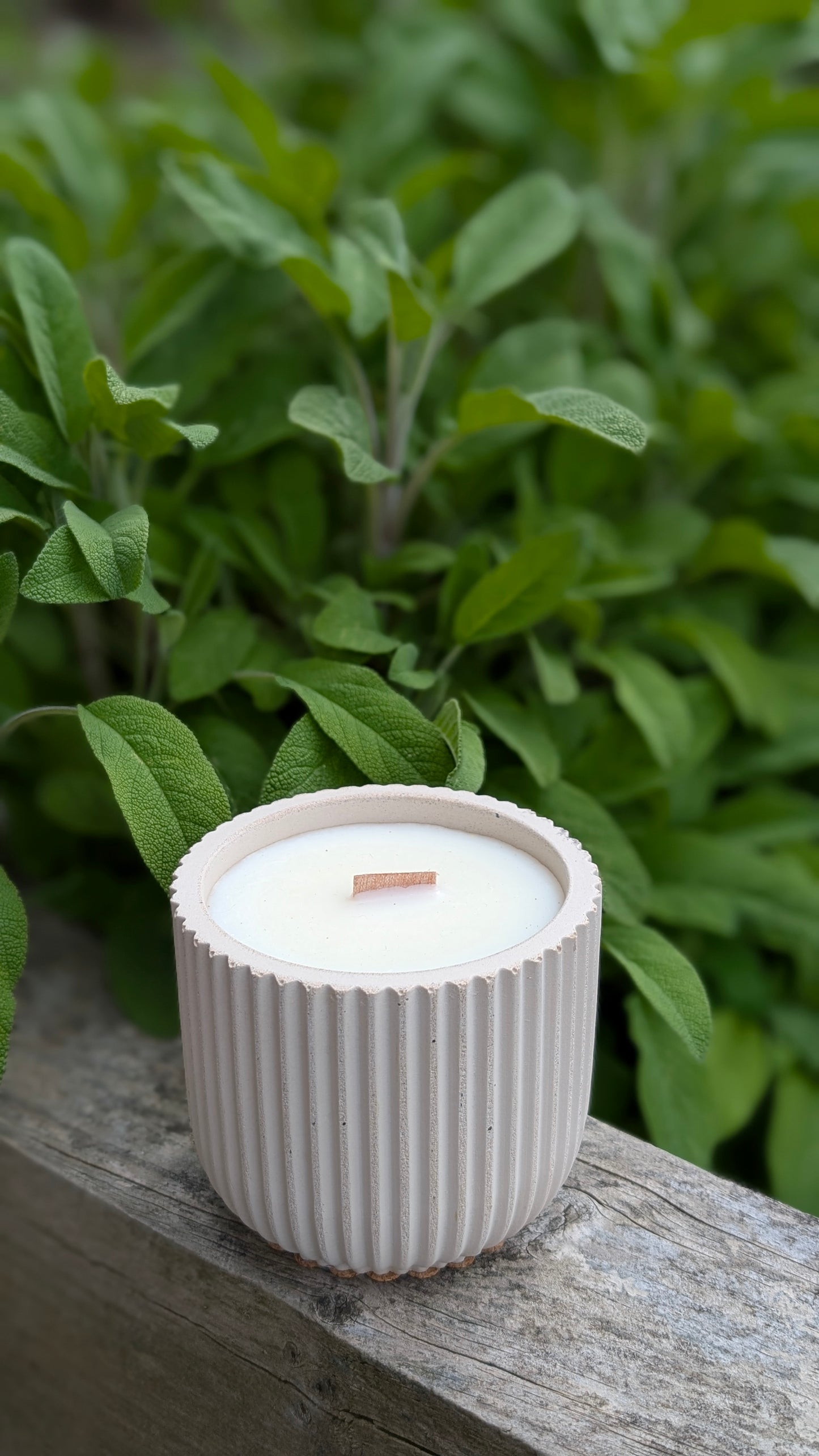 Sandalwood, Black Spruce and Sage Candles