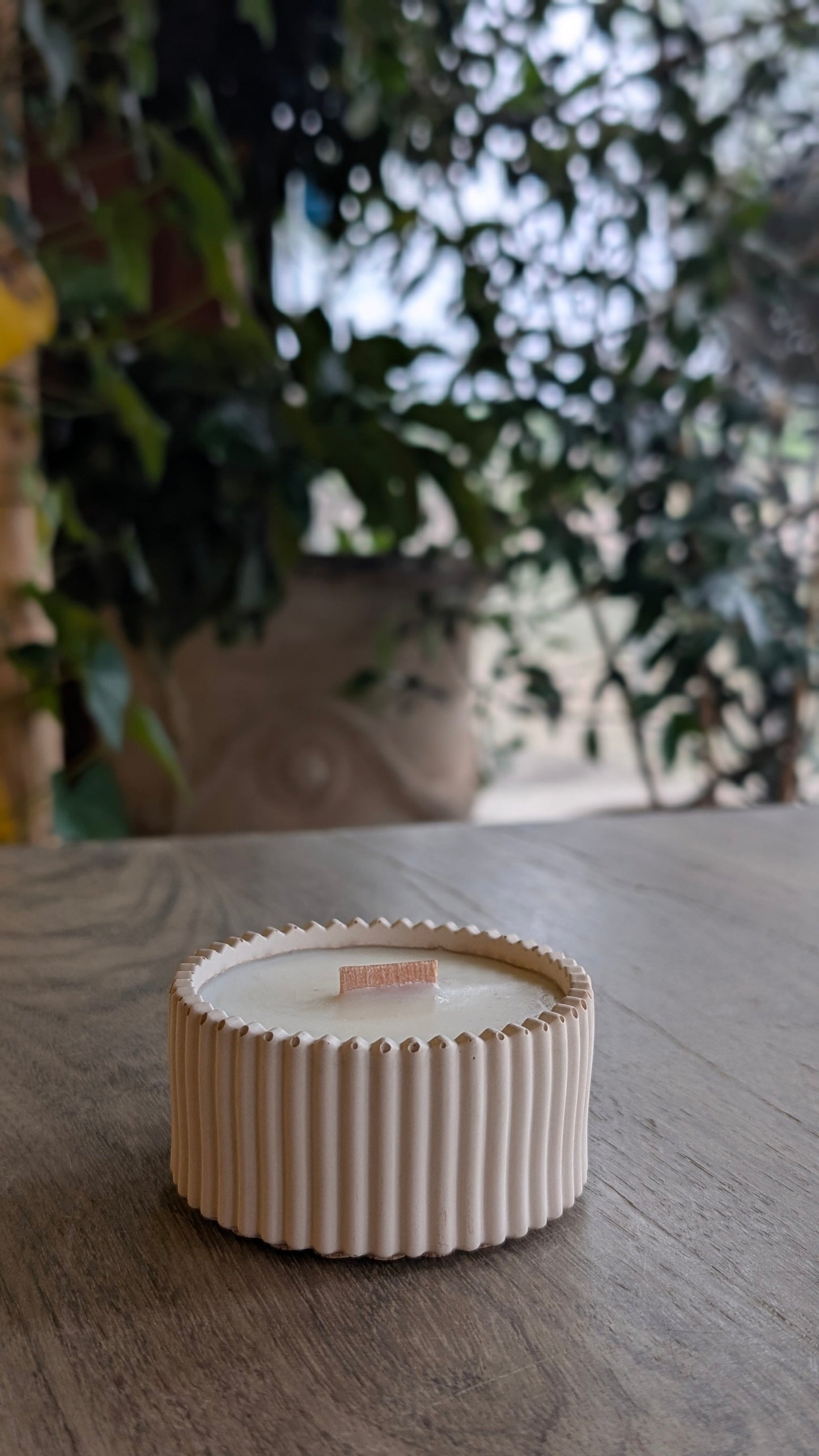 Sandalwood Black Spruce and Sage | 15 Hour Candle - Candle