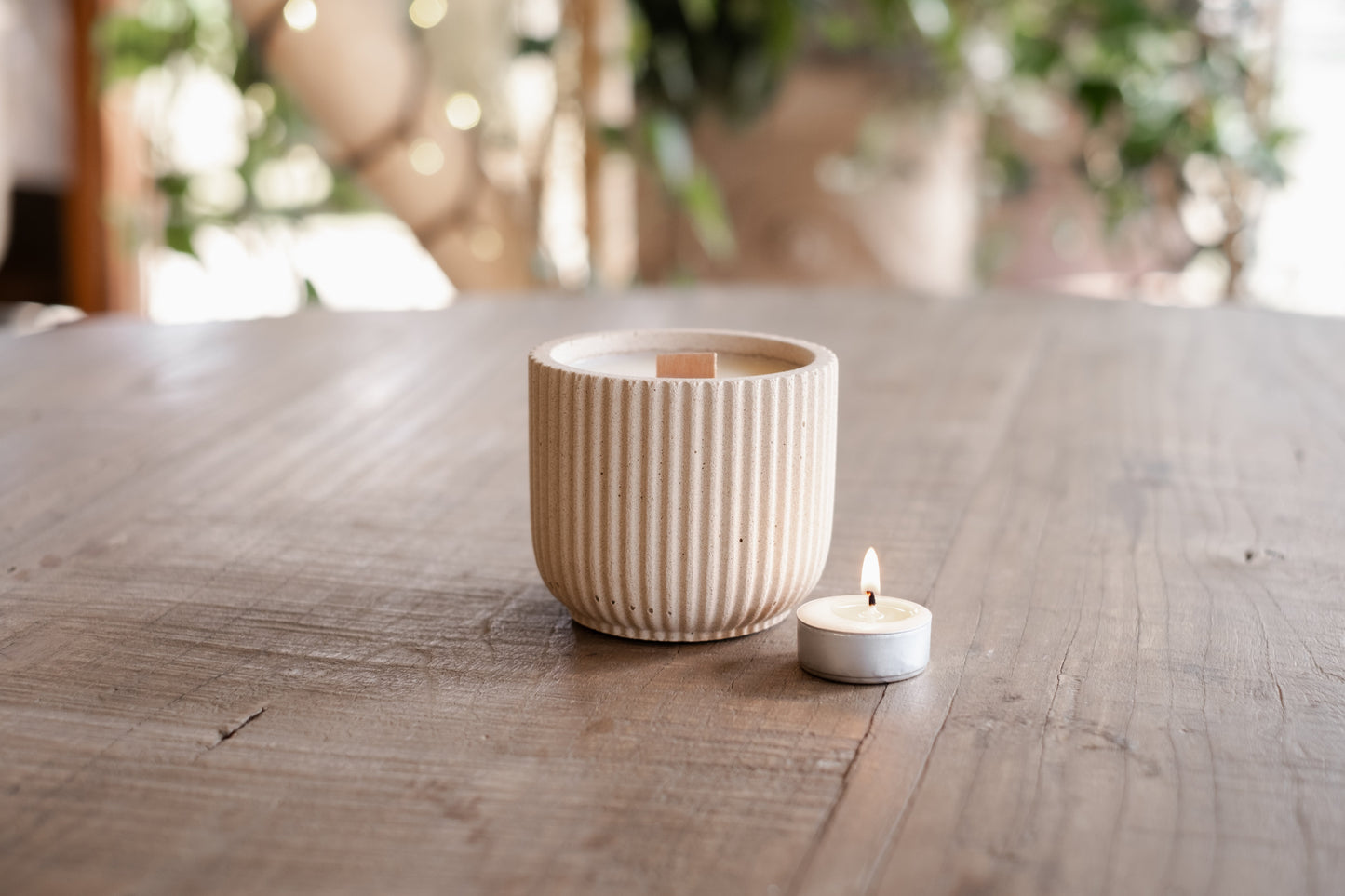 Sandalwood Black Spruce and Sage | Refillable 40 Hour Candle - Candle