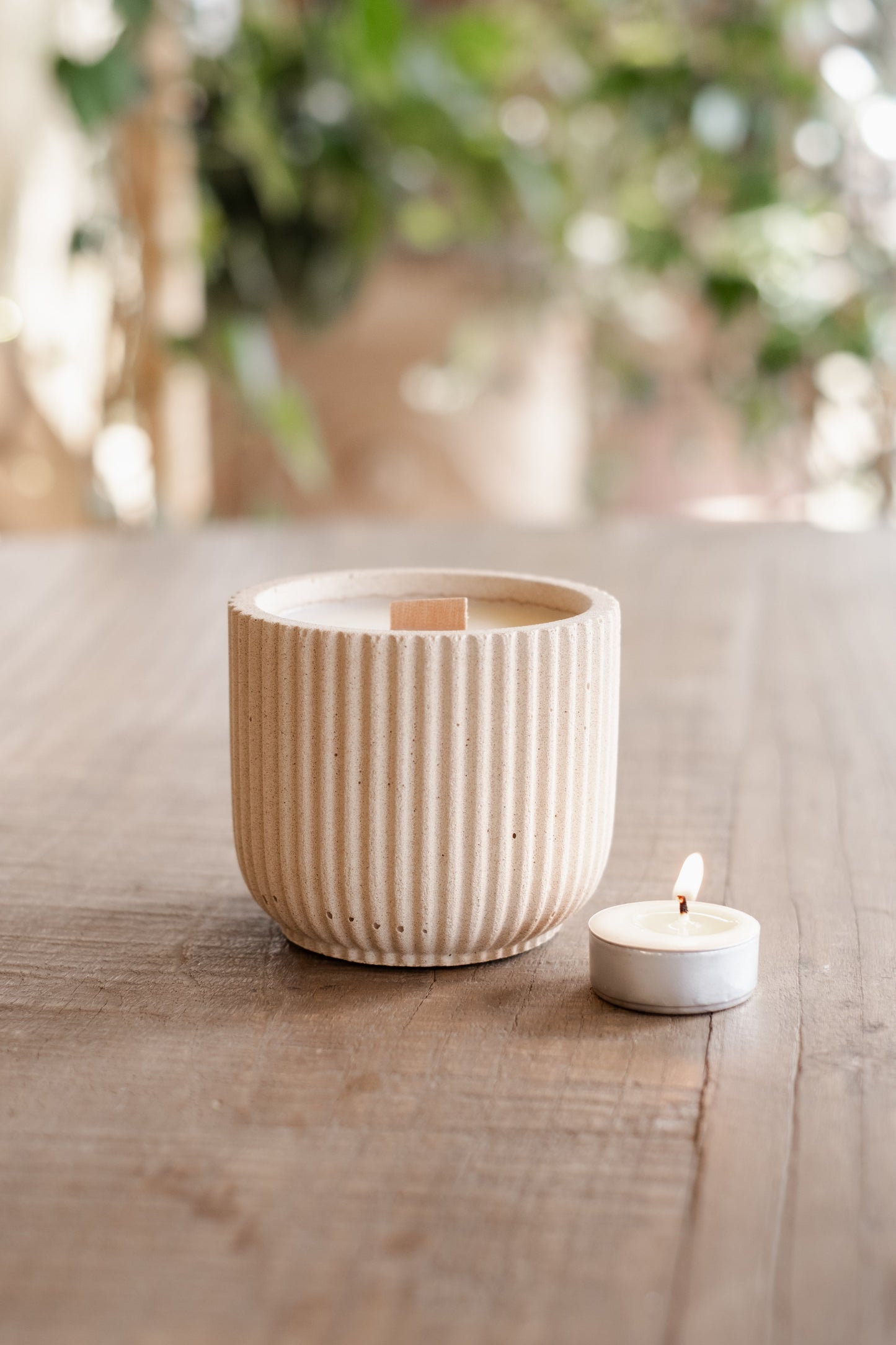 Sandalwood Black Spruce and Sage | Refillable 40 Hour Candle - Candle