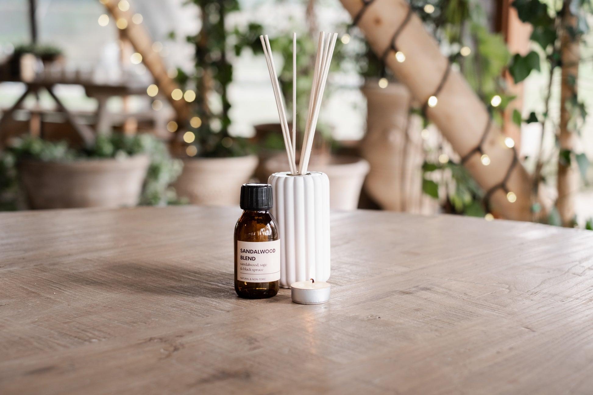 Sandalwood Sage and Black Spruce Reed Diffuser - Diffuser
