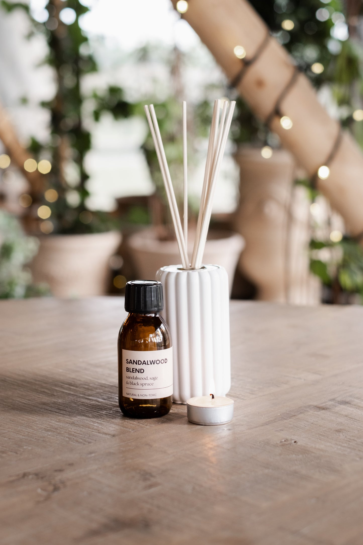 Sandalwood Sage and Black Spruce Reed Diffuser - Diffuser