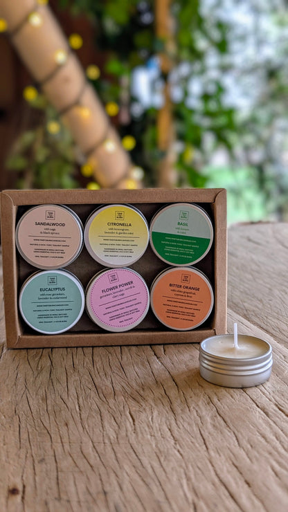 Spring - Summer Discovery Collection