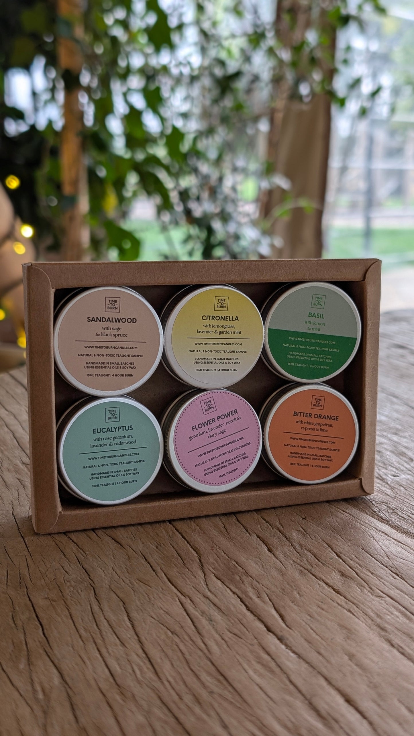 Spring - Summer Discovery Collection