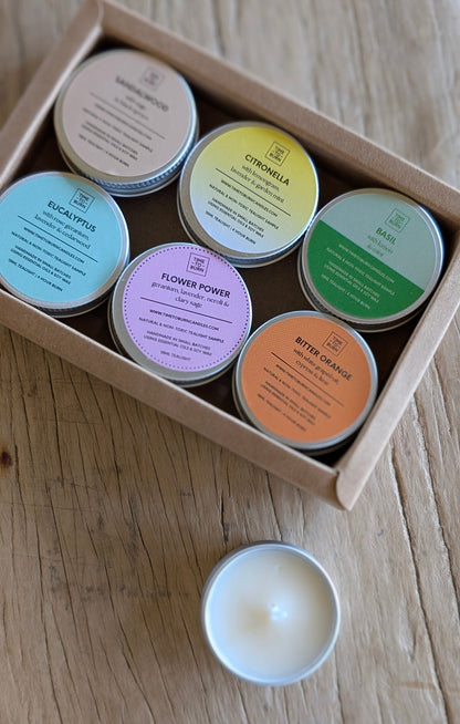 Spring - Summer Discovery Collection