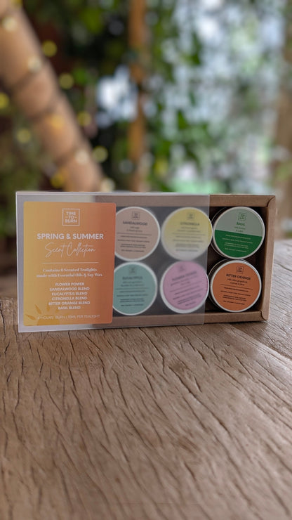 Spring - Summer Discovery Collection