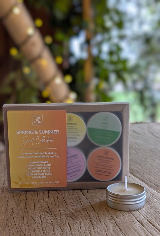 Spring - Summer Discovery Collection