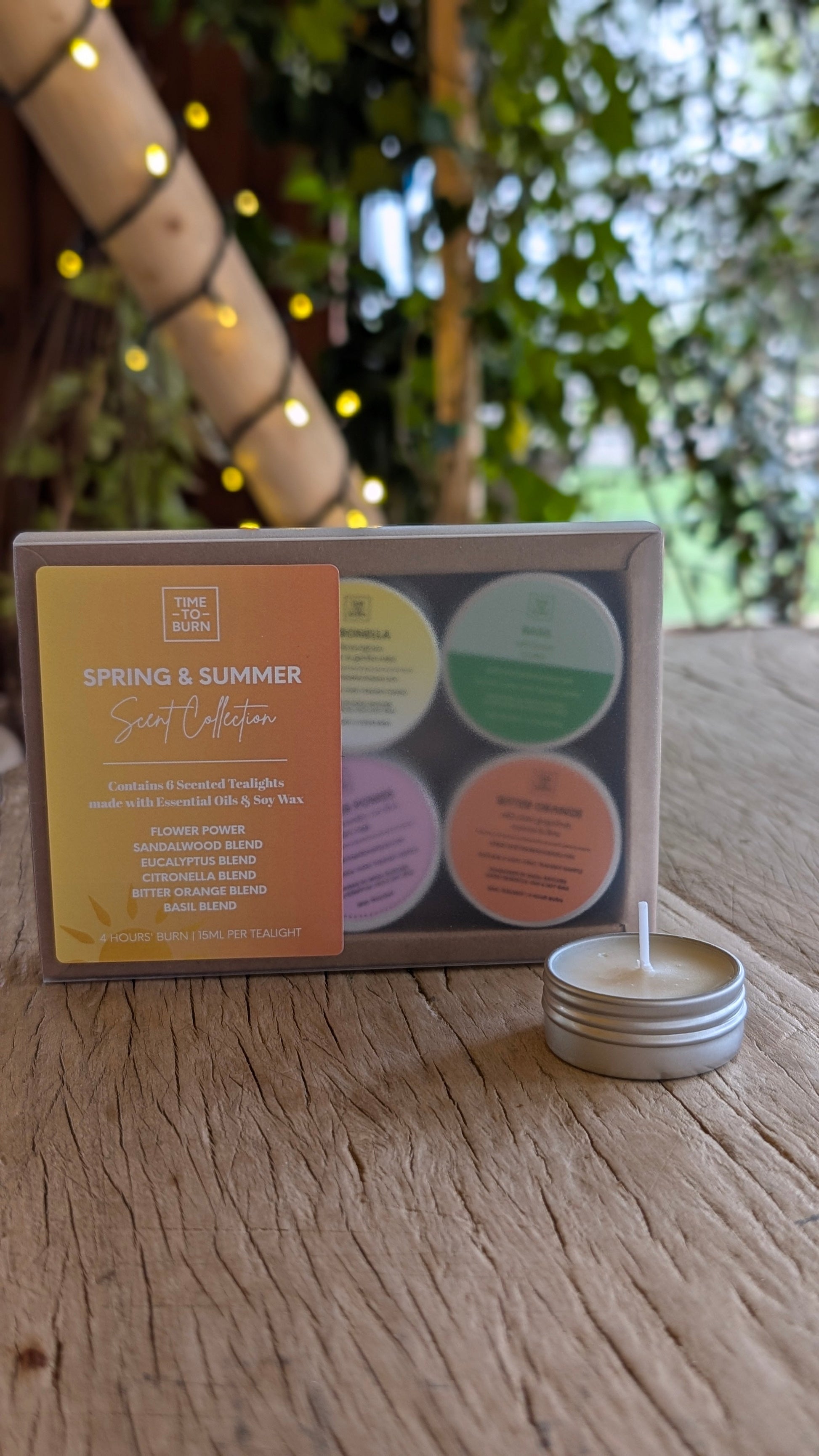 Spring - Summer Discovery Collection