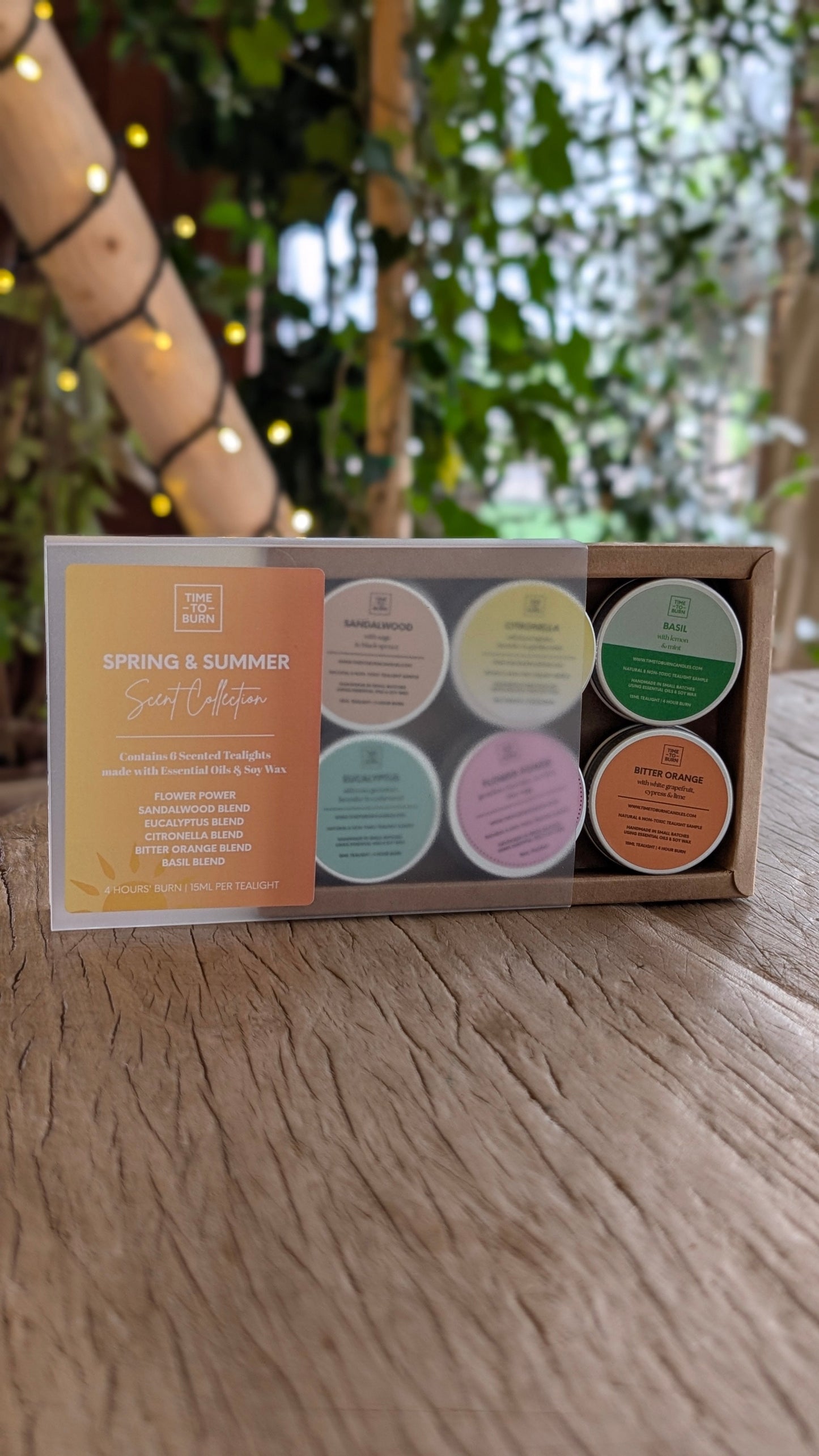 Spring - Summer Discovery Collection