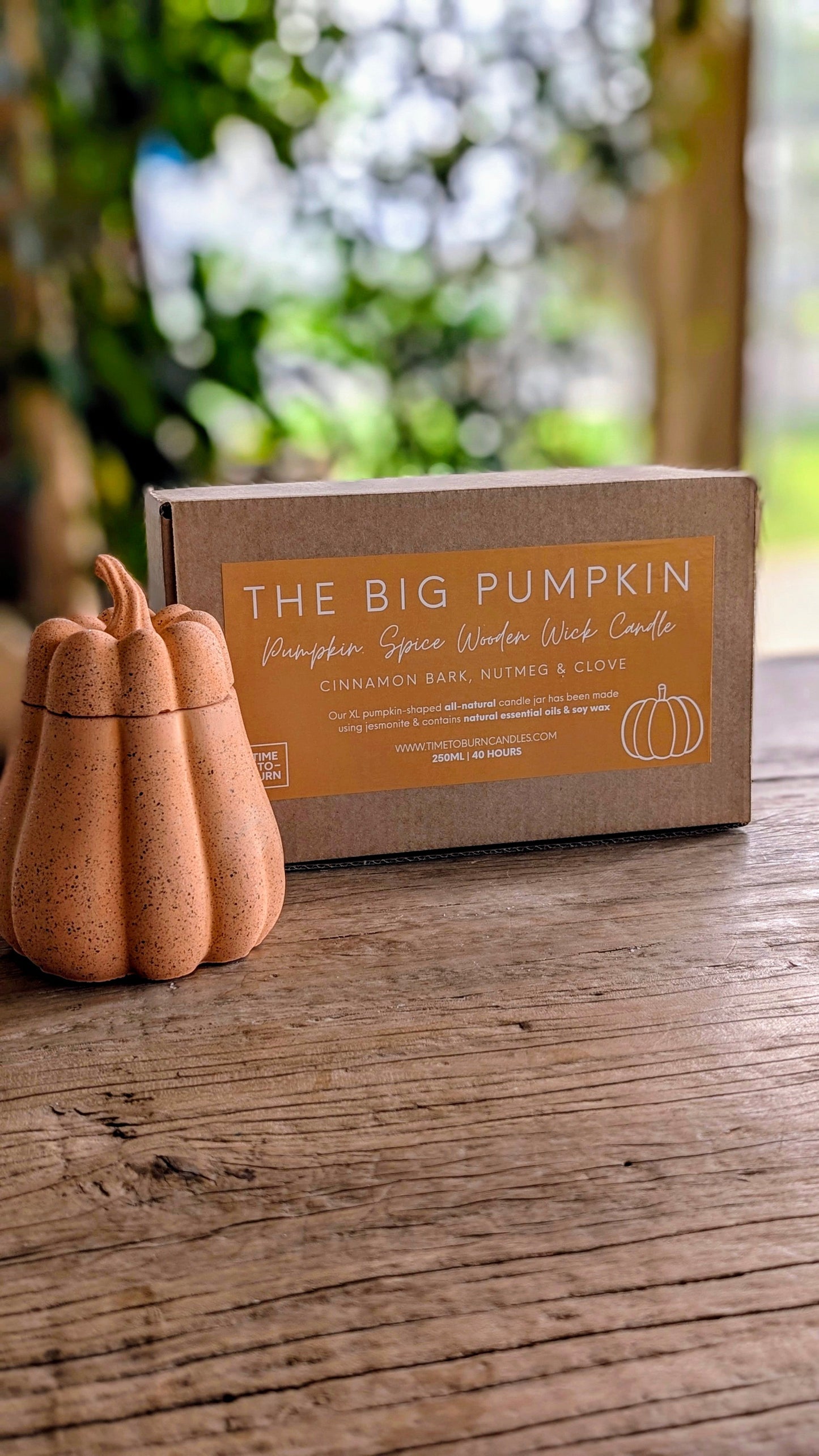 The Big Pumpkin | Cinnamon Clove & Nutmeg - Candle
