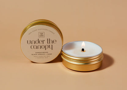 The Scent Discovery Collection - Under the Canopy - Candle