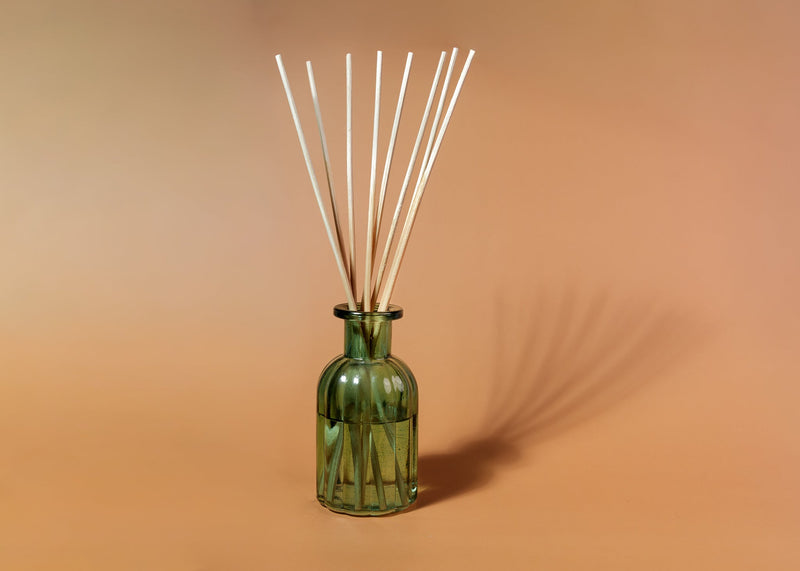 Under the Canopy: Reed Diffuser - Diffuser
